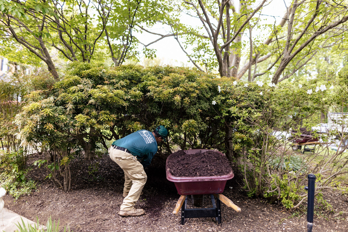 L&C Grounds mulching commercial property 