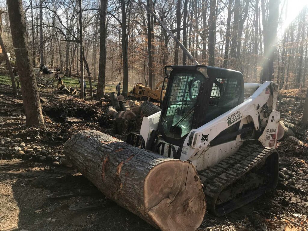 Tree Removal Great Falls, VA