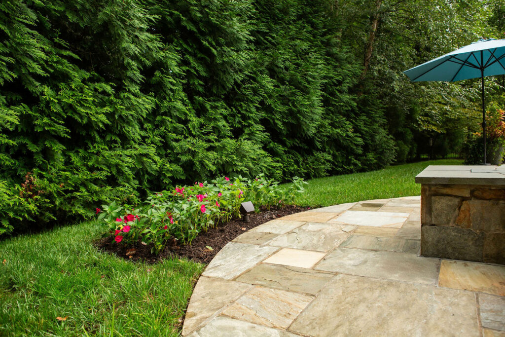 Privacy Trees & Evergreens