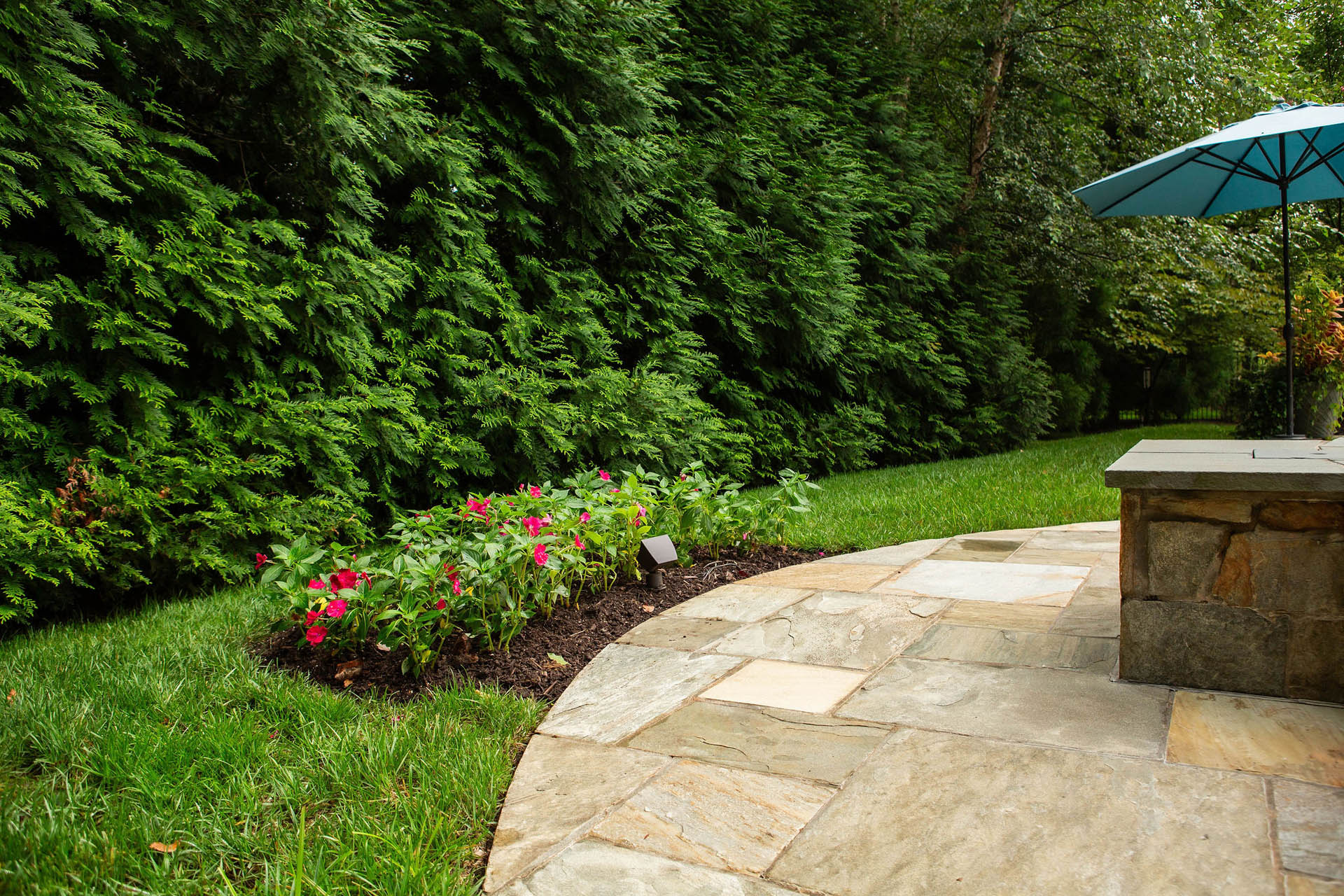 Privacy Trees & Evergreens: A Guide to Fall Trees and Shrubs