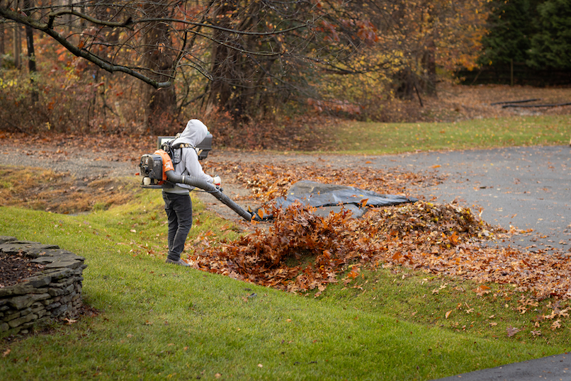 Fall service: Leaf Clean up | fall landscaping